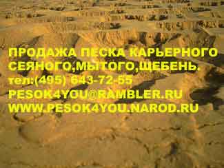 Щенки Лабрадора