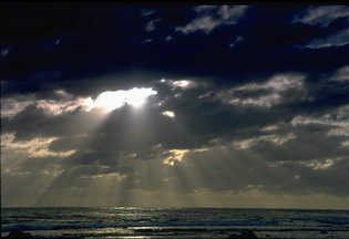 Стихи, песни на заказ быстро и качественно!