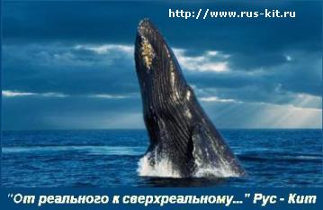 Асботкань, паронит, бумага асбестовая, лента ЛАЭ, набивки сальниковые