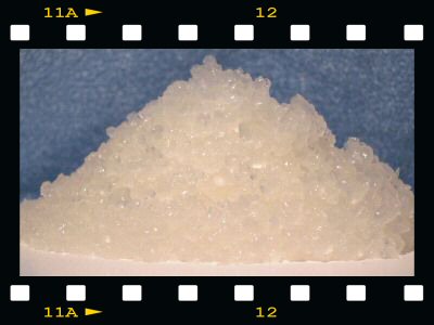 Продам Индийский морской рис