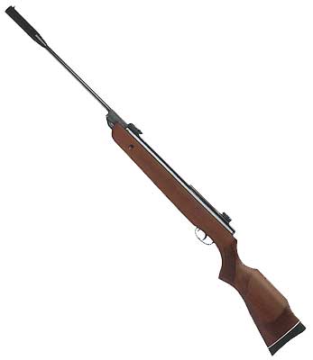 Пневматика хатсан 125, hatsan 155 TORPEDO, GAMO Hunter 1250, Англия, Pneumatix rifle, Norica, hatsan 70, cамые мощные пневматические винтовки класса м