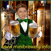 Micro Brewery BlonderBeer. Type D 500 L