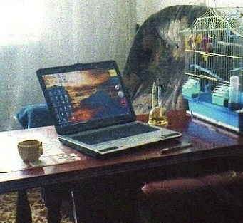 Работа дома. Интернетмаркетинг. Для серьезных.