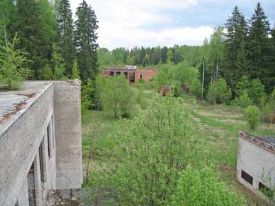 Лесные 8,5 га Ярославское ш, 40 км от МКАД.