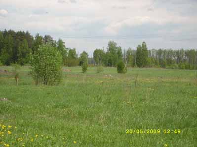 12 сот Раменское. Лесной массив, озеро