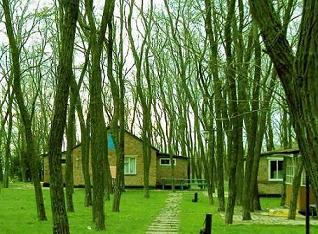 ПРОДАЮ  БАЗУ ОТДЫХА  В КУРОРТНОЙ ЗОНЕ , 10 км от Таганрога