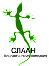 Финансовый консалтинг