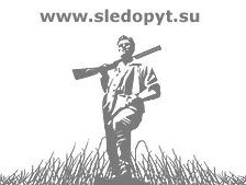 Гладкоствольное оружие