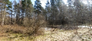Лесной участок в Смолячково. 12сот. ИЖС.