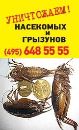 Уничтожение клопов в Москве