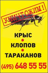 Уничтожение тараканов, уничтожение клопов в Москве