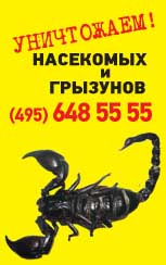 Уничтожение насекомых, клопов и тараканов в Москве