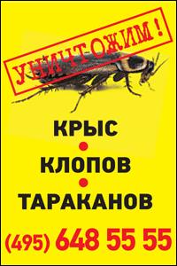 Постельный клоп - главный враг городских жителей. Избавим!