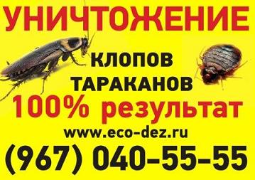 Уничтожение тараканов, блох, клопов недорого  Москва