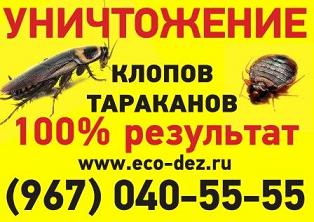 Уничтожение клопов и тараканов - дезинсекция, дератизация в Москве
