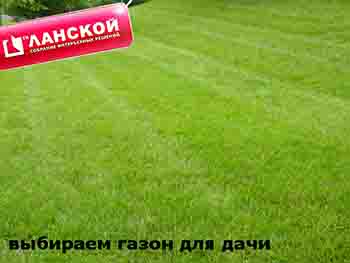 ТК «Ланской»: идеальный газон для дачи